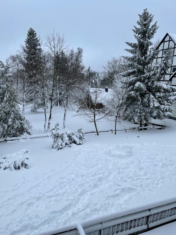 Aventur Studio 212 Am Rotharrsteig Medebach Esterno foto