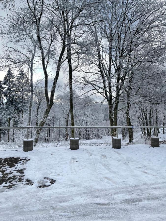 Aventur Studio 212 Am Rotharrsteig Medebach Esterno foto
